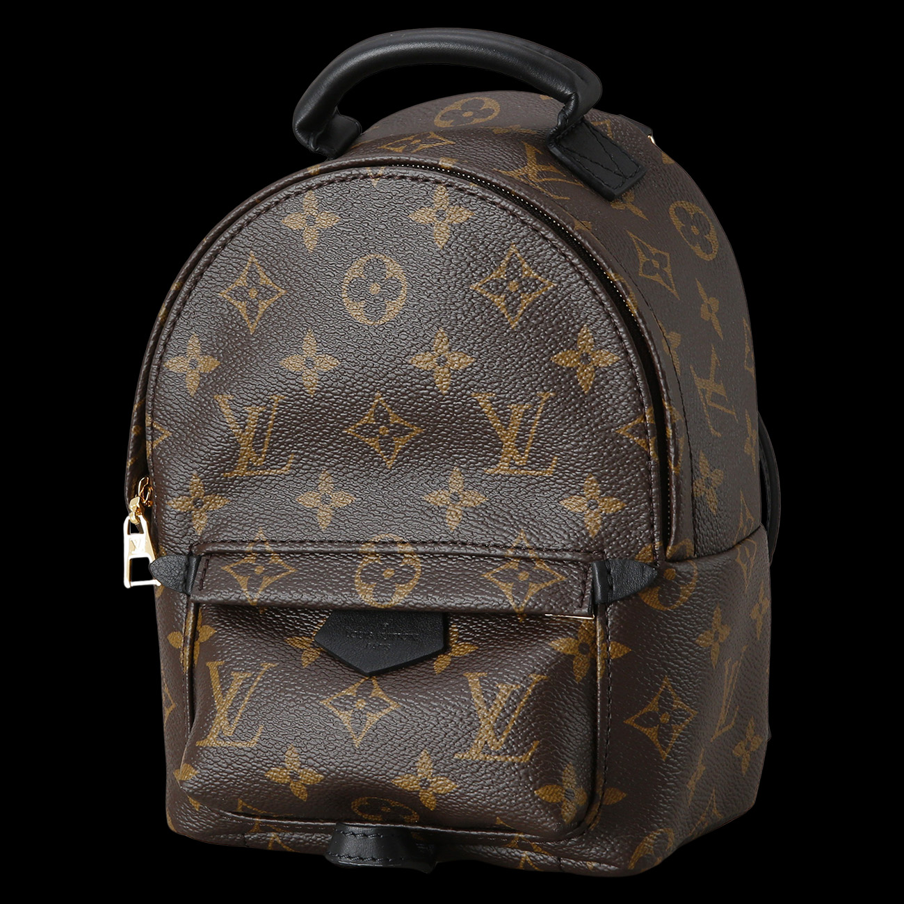 LOUIS VUITTON(USED)루이비통 팜스프링 미니 백팩